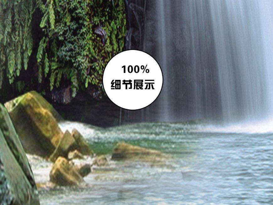 动物帮帮忙保卫家园